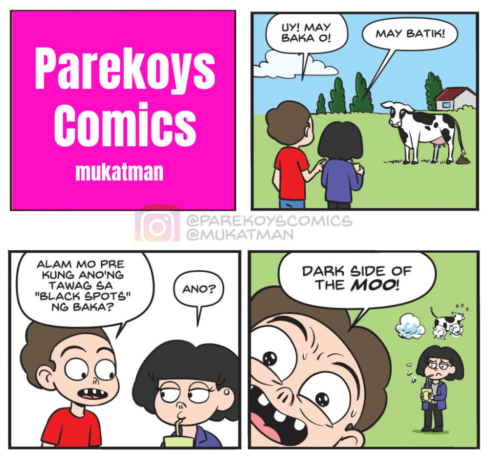 Parekoys Melc (4)